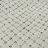 Sequins Work Embroidery On White Dyeable Georgette Fabric With Daman Border