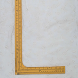 Chinnon Chiffon Fabric All over Jaal Embroidery Dyeable